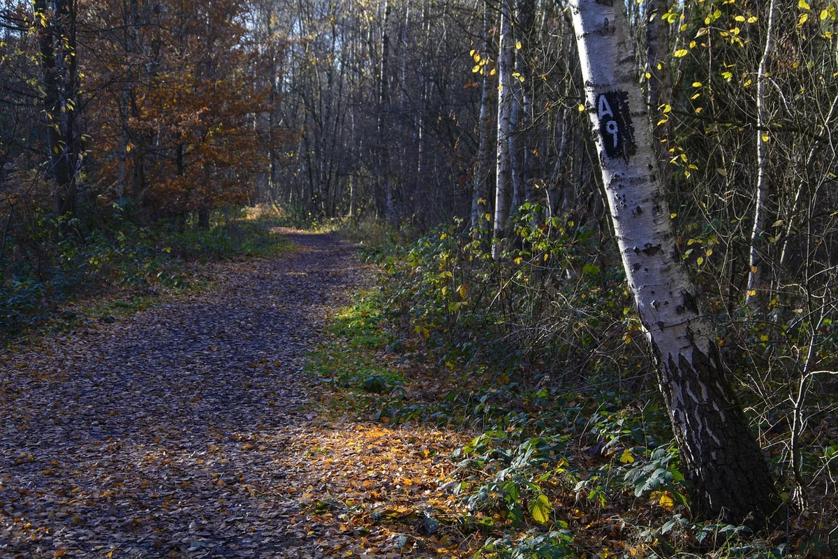 2. La première barrière : la confidentialité absolue