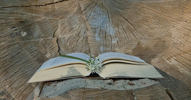 Lire un blog business au bon moment
