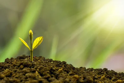 Prlv asp april sur votre compte : que faire en 2026 ?