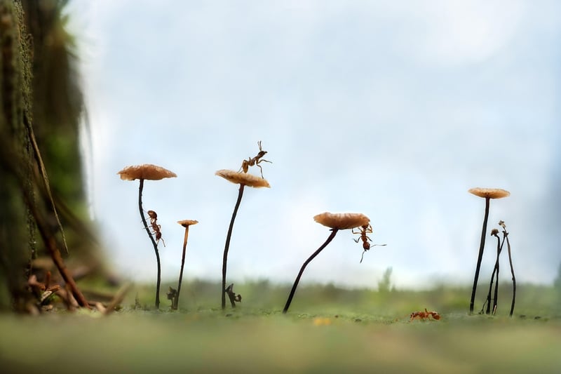 Découvrez les meilleurs ants horaires pour optimiser votre quotidien en 2026